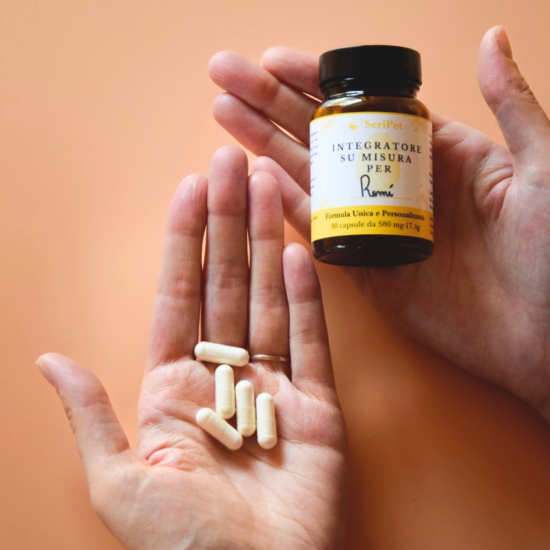 Seripet One - immagine 3