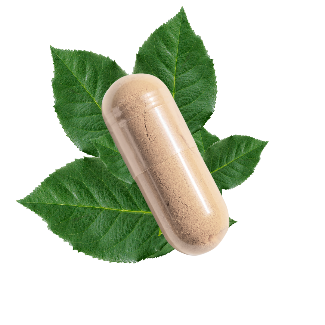 Ingredienti naturali SeriPet