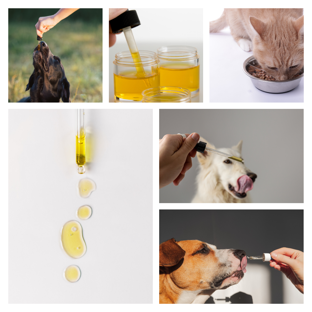 Seripet Oil - immagine 2