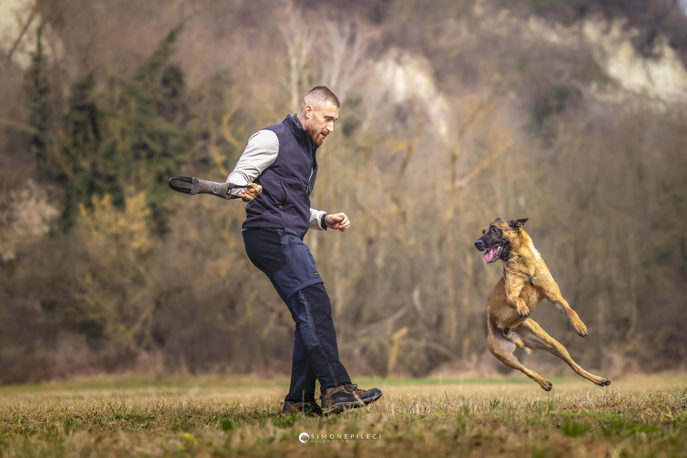 Pastore Belga Malinois