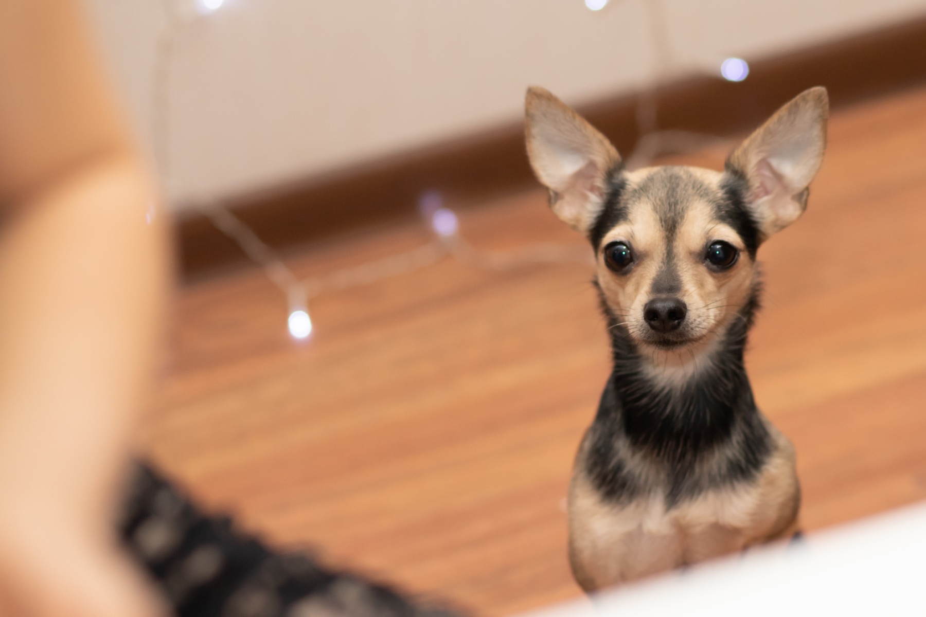 Beige Brown Minimal Modern Aesthetic Fashion Clothes Brand Sales Collage Presentation (5)