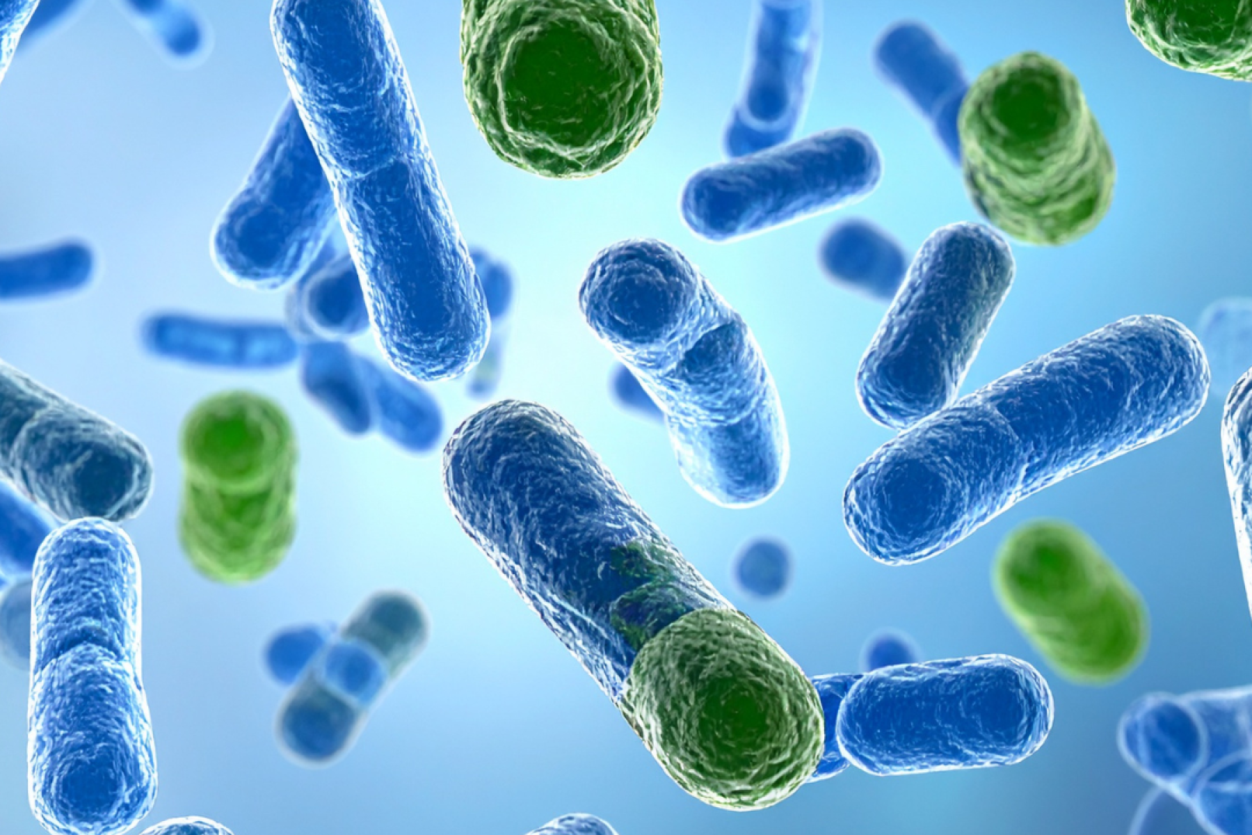 Progetto senza titolo (3)